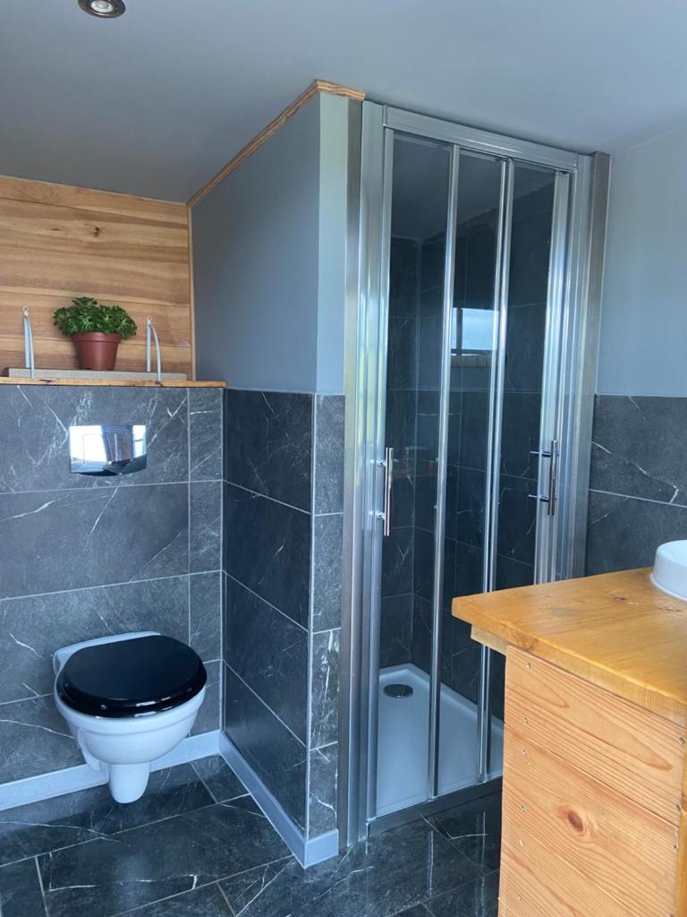une salle de bain avec toilettes et douche en verre dans l'établissement Nuit insolite en Tipi avec bain nordique privatif, petits déjeuners inclus, à Médonville
