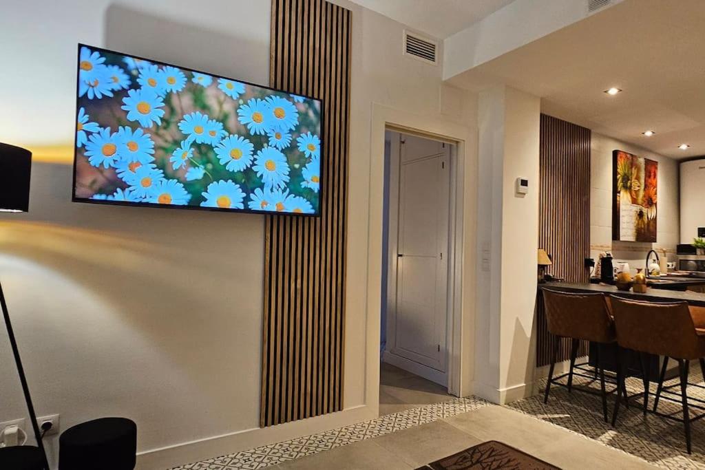 Suite Trinidad Centro 5