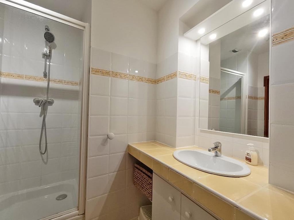 une salle de bain avec un lavabo et une douche dans l'établissement Le petit cerf, T3, wifi, cave, à Luchon 6 autres photos