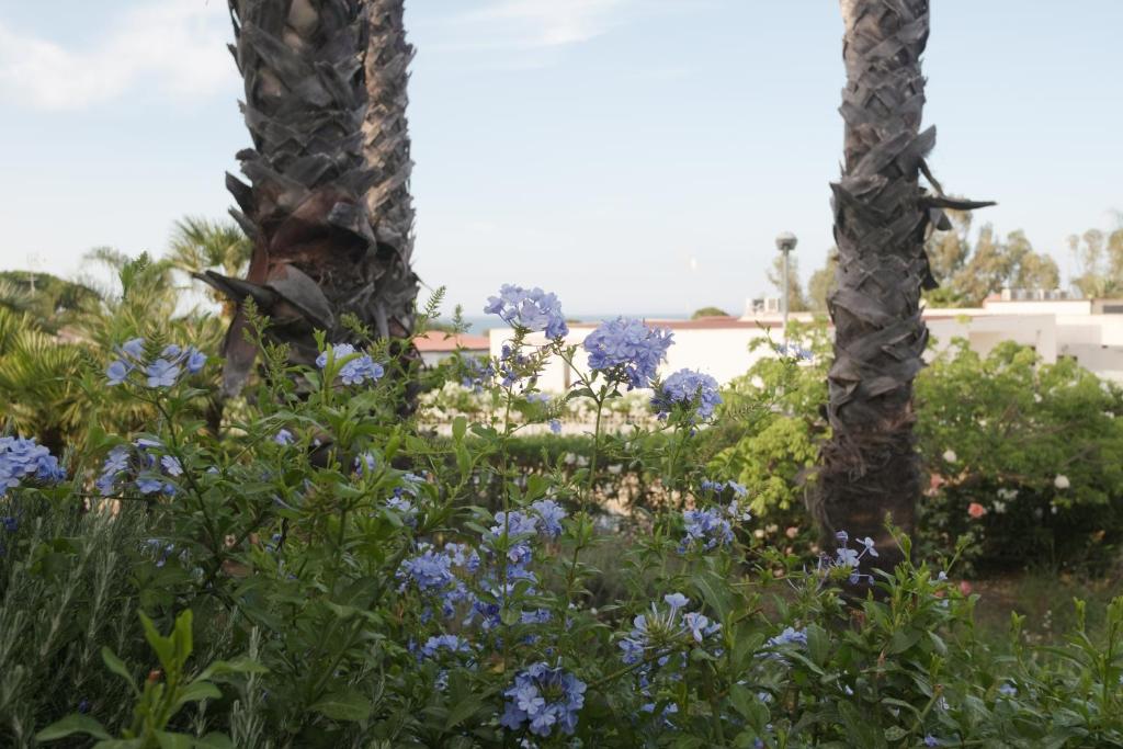 Casa del Mar, Brucoli 7