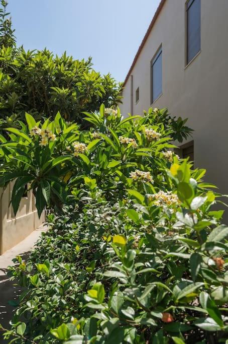 Casa in giardino 6