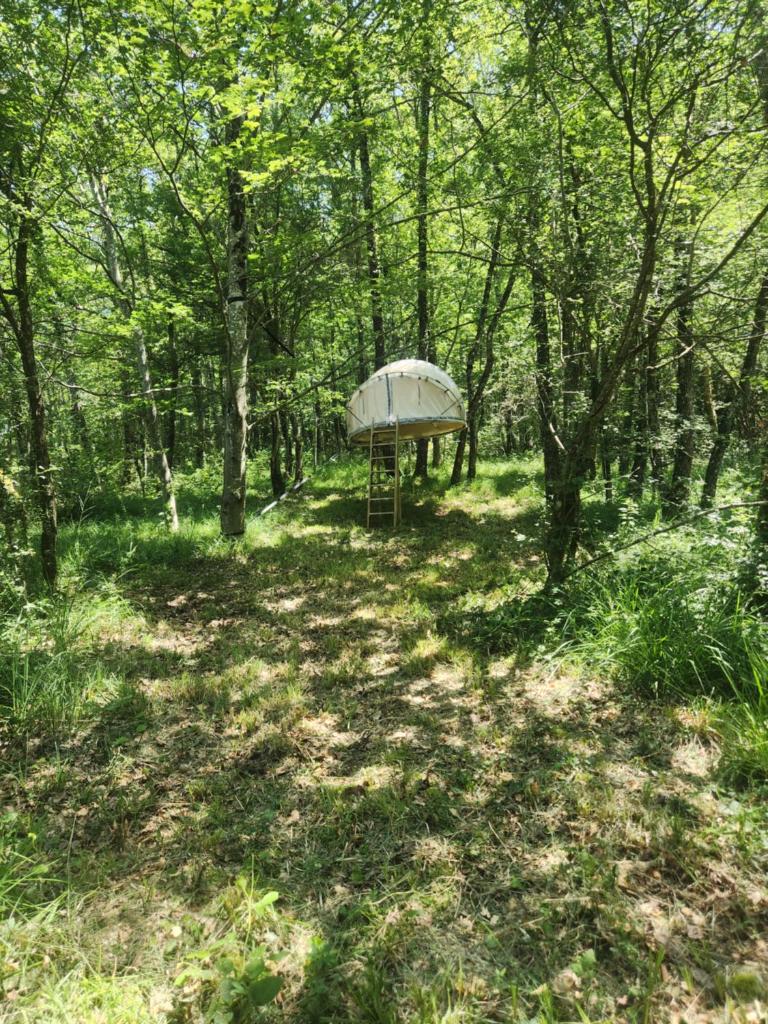 une tente au milieu d'une forêt dans l'établissement Bulle perchée, à Sonnac-sur-lʼHers 6 autres photos