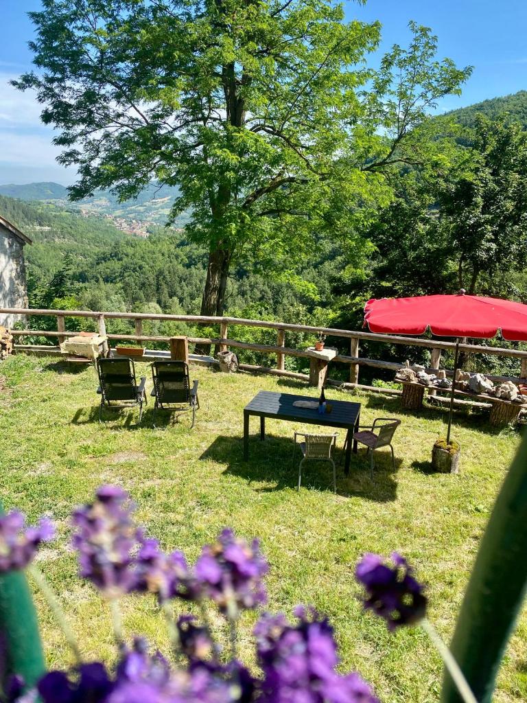 Casa Vacanze Rifugio Verde 5