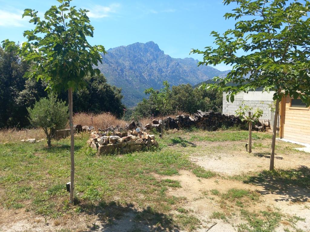 maison de vacances olmi cappella Corse 1