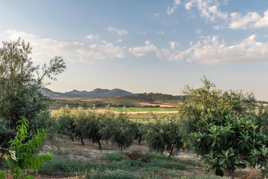 Casa Rural La Loma 7