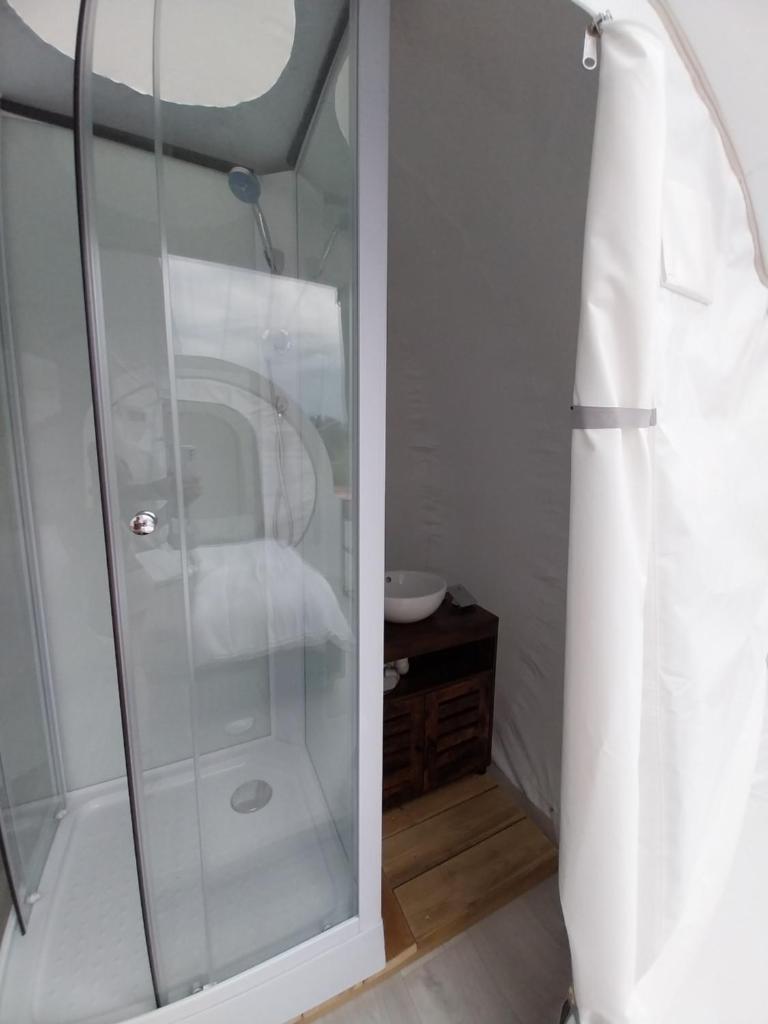une douche avec une porte vitrée dans une salle de bain dans l'établissement La Bubble, à La Salvetat-Peyralès 14 autres photos