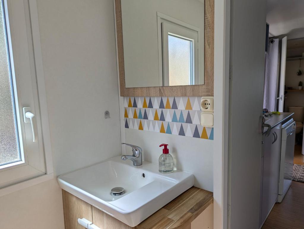 une salle de bain avec un lavabo et un miroir dans l'établissement Mobilhome avec piscine- plage à 10 minutes, à Saint-Aygulf 12 autres photos