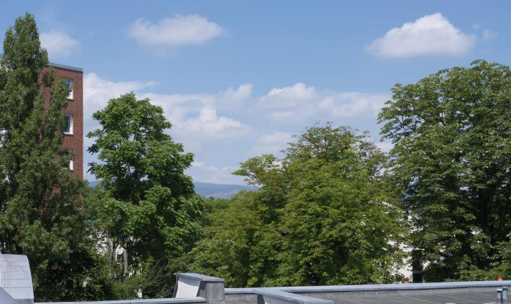 Gemütliche helle Dach-Wohnung in Frankfurt 7