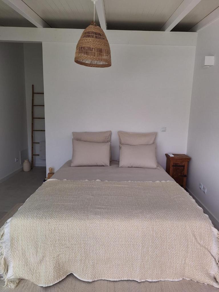 Luxury Green Apartment in The Historic Centre Aveiro 7