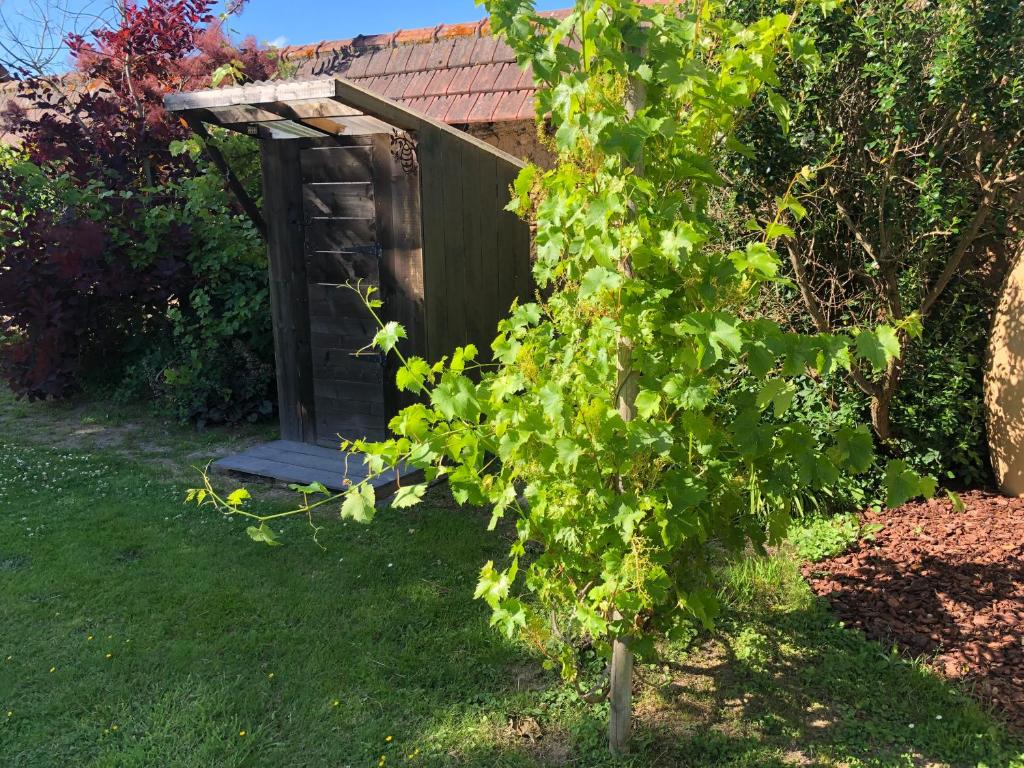 une petite maison en plein air dans une cour avec un arbre dans l'établissement Le Clos des Reines, à Conteville 5 autres photos