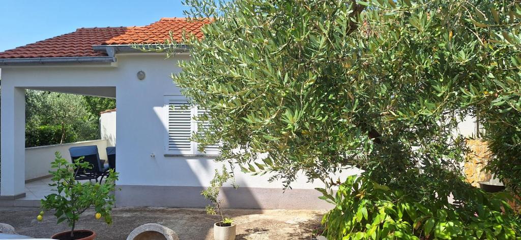 Holiday Home Paula 1