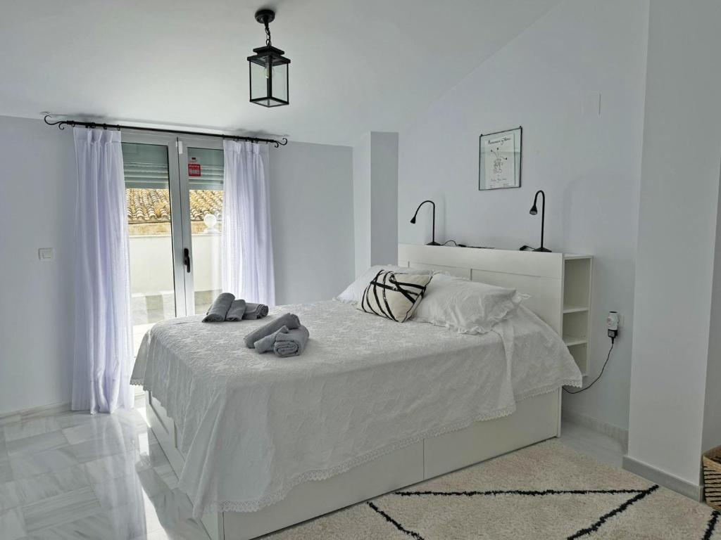 Apartamento San Miguel - Ole Solutions 3