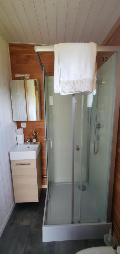 une salle de bain avec une douche, des toilettes et un lavabo dans l'établissement Roulotte de la Ferme Les Chenevières, à Villers-devant-Mouzon