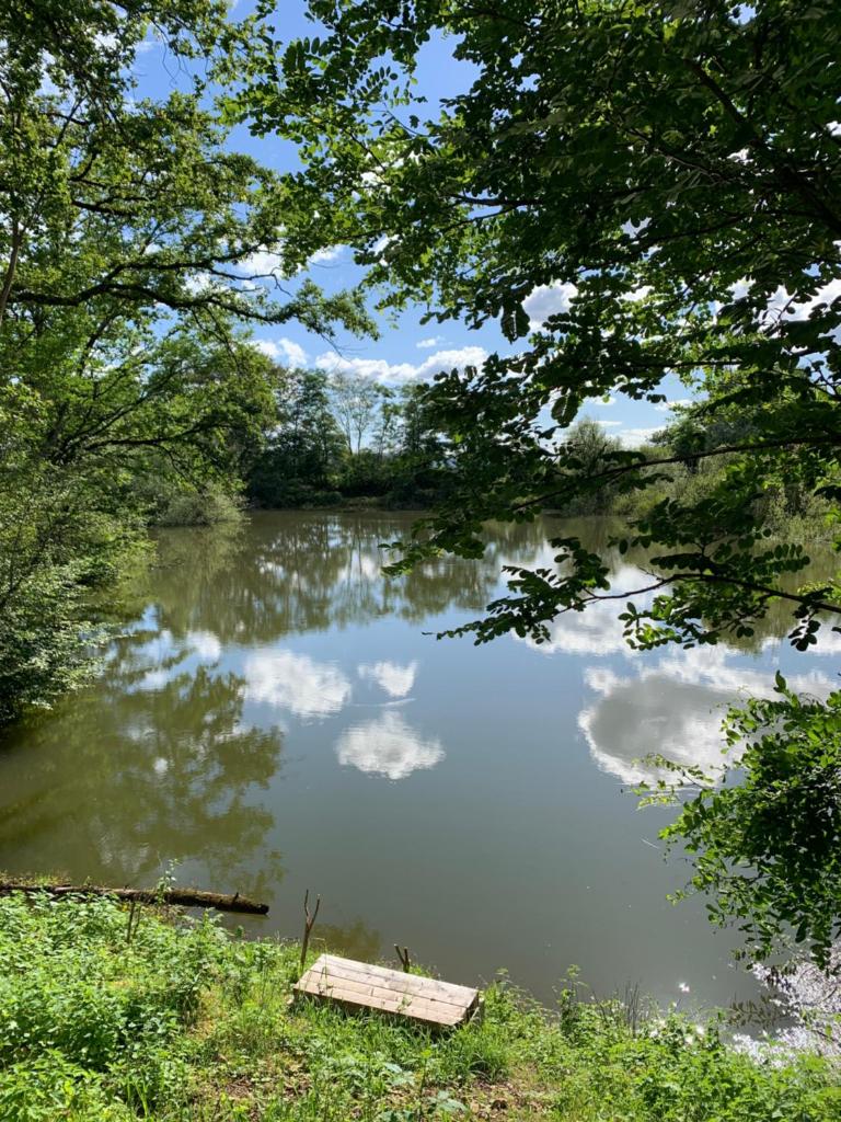 un lac avec un quai en bois au milieu dans l'établissement Nuit en van au bord étang privé, à Saint-Sauveur
