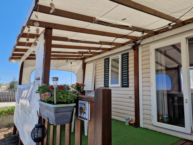 - une terrasse couverte d'une maison avec une plante dans l'établissement Camping le castellas L151, à Mèze