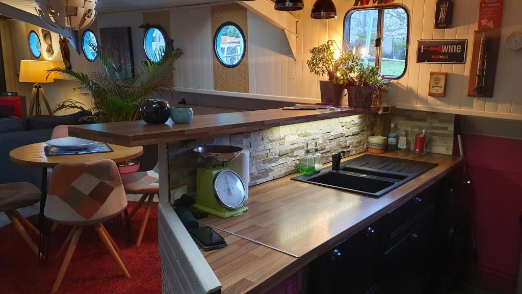 - une cuisine avec un comptoir, un évier et une table dans l'établissement PENICHE ONDINE, à Plombières-lès-Dijon