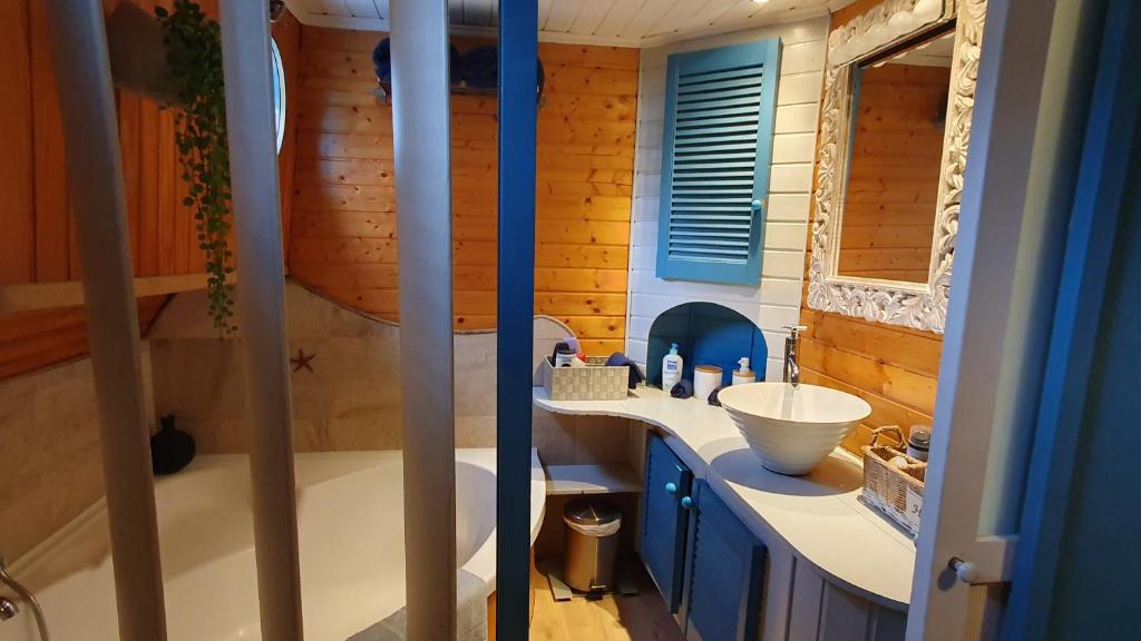une petite salle de bain avec un lavabo et un miroir dans l'établissement PENICHE ONDINE, à Plombières-lès-Dijon