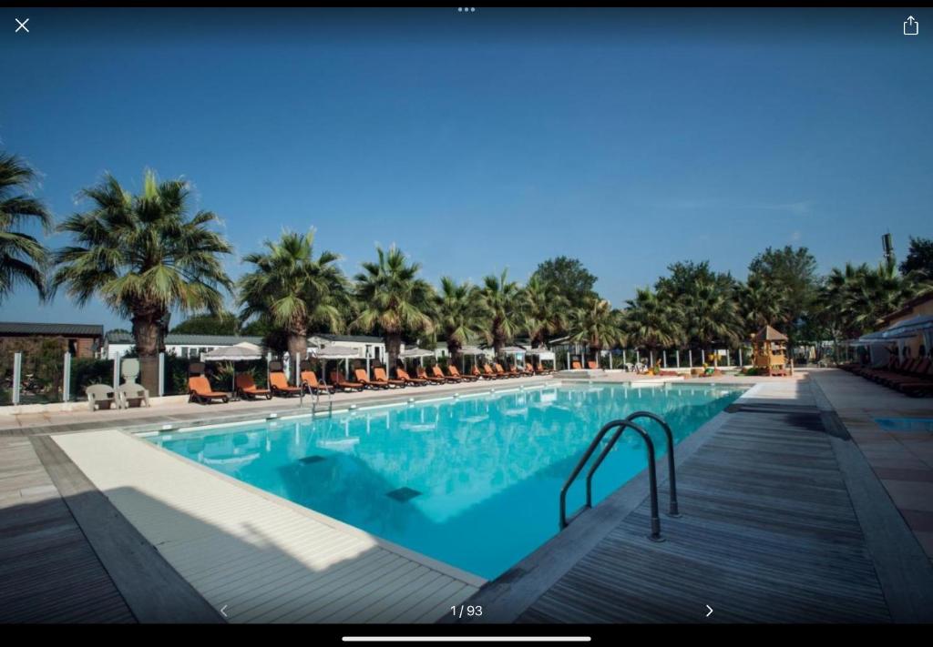 une grande piscine avec chaises et palmiers dans l'établissement Bungalow Port Grimaud 177, à Grimaud