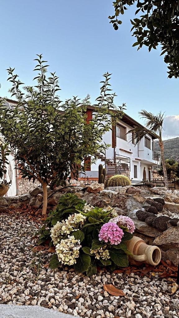 Villa Aura 7