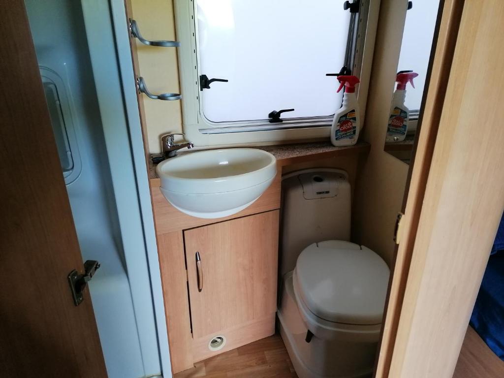 La salle de bains est pourvue d'un lavabo et de toilettes. dans l'établissement Caravane des prés, à Saint-Georges-de-Didonne