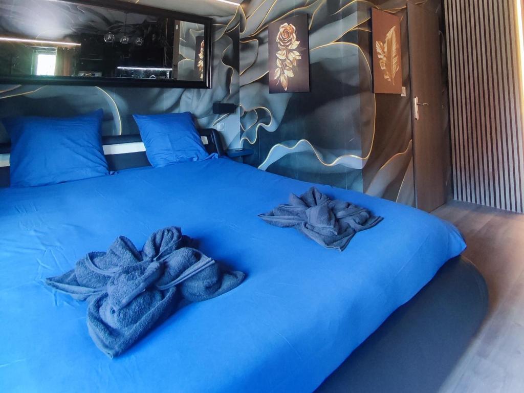 R luxury piscine et spa privatifs 2