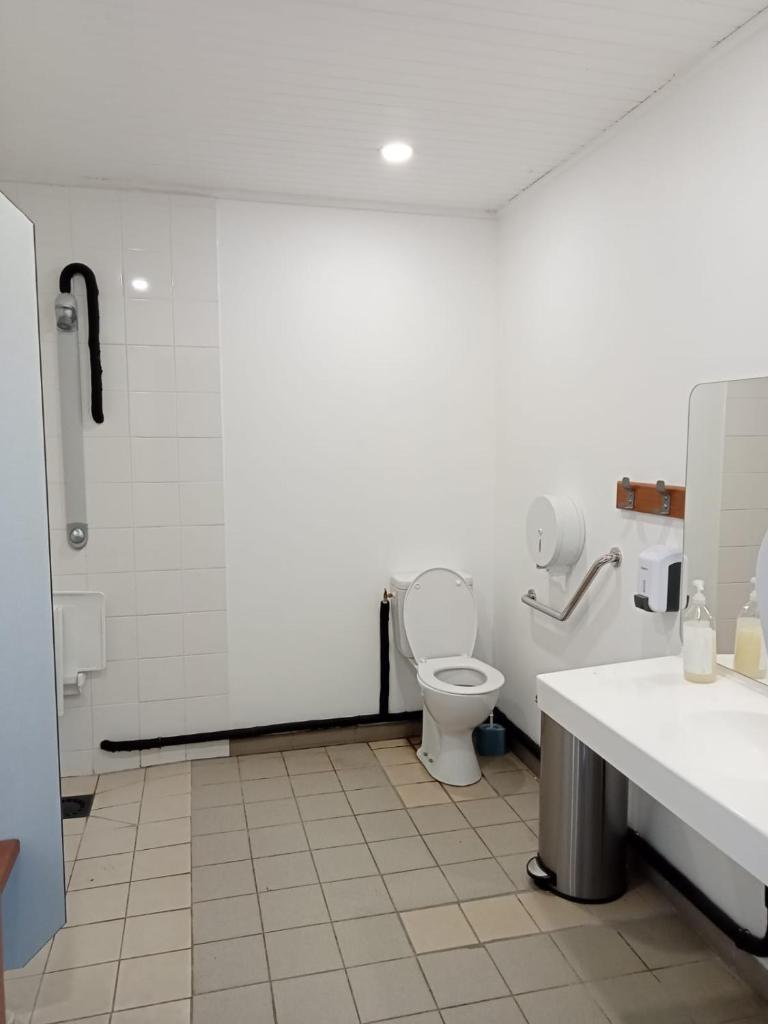 une salle de bain avec toilettes et lavabo dans l'établissement Bateau-gîte sur le halage de la Mayenne, à LʼHuisserie