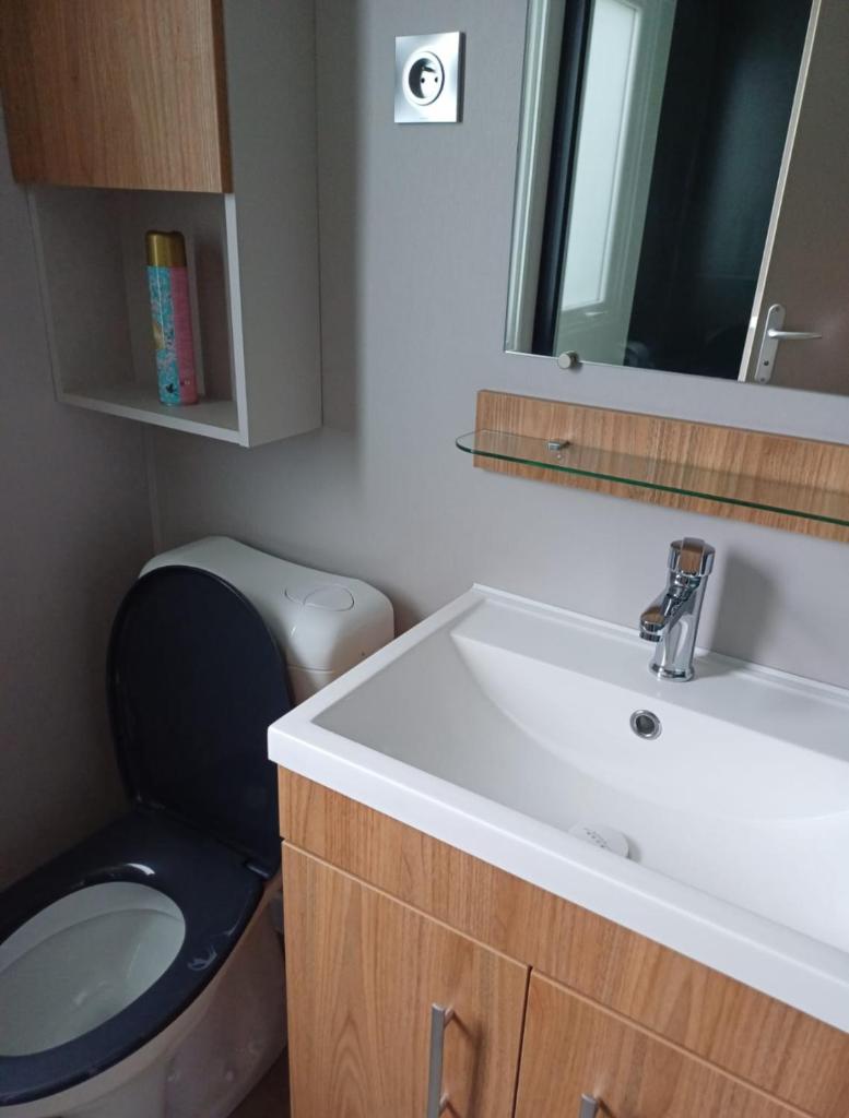 une salle de bain avec toilettes, lavabo et miroir dans l'établissement Siblu le Montourey frejus, à Fréjus