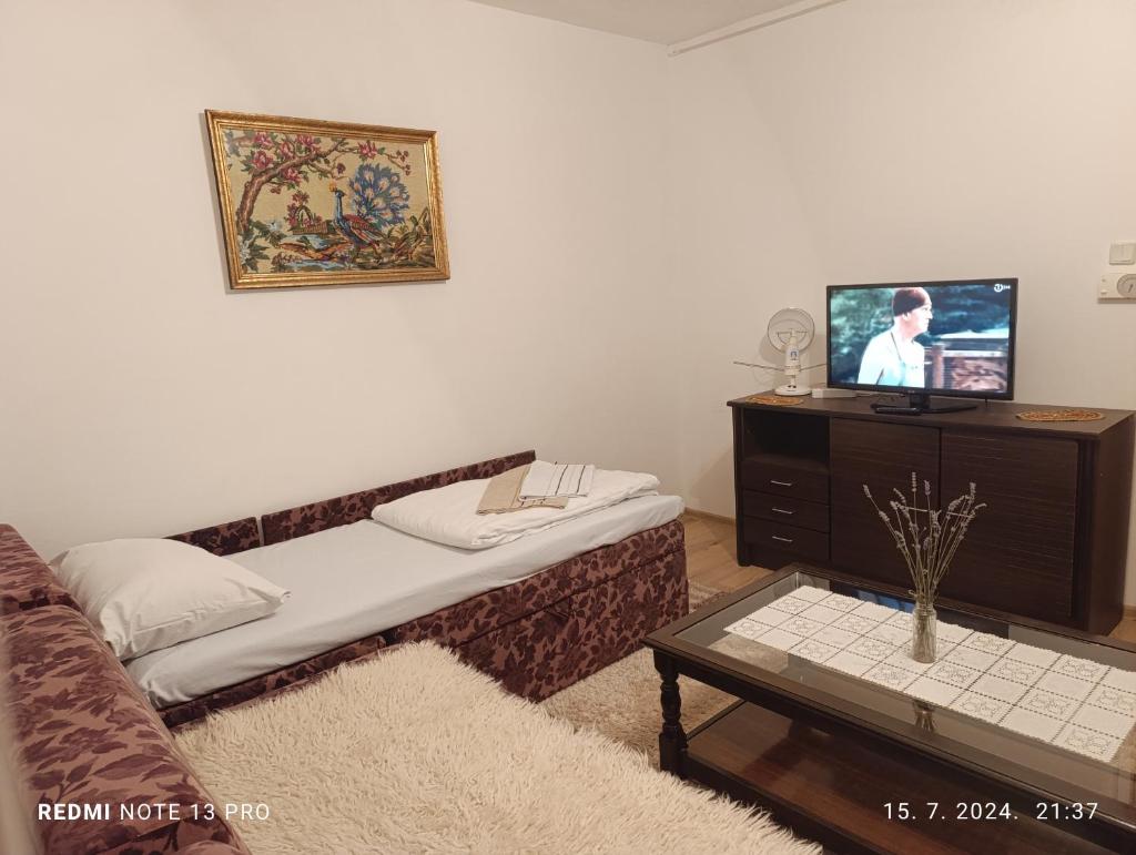 Apartment SAFIR - Free parking 5