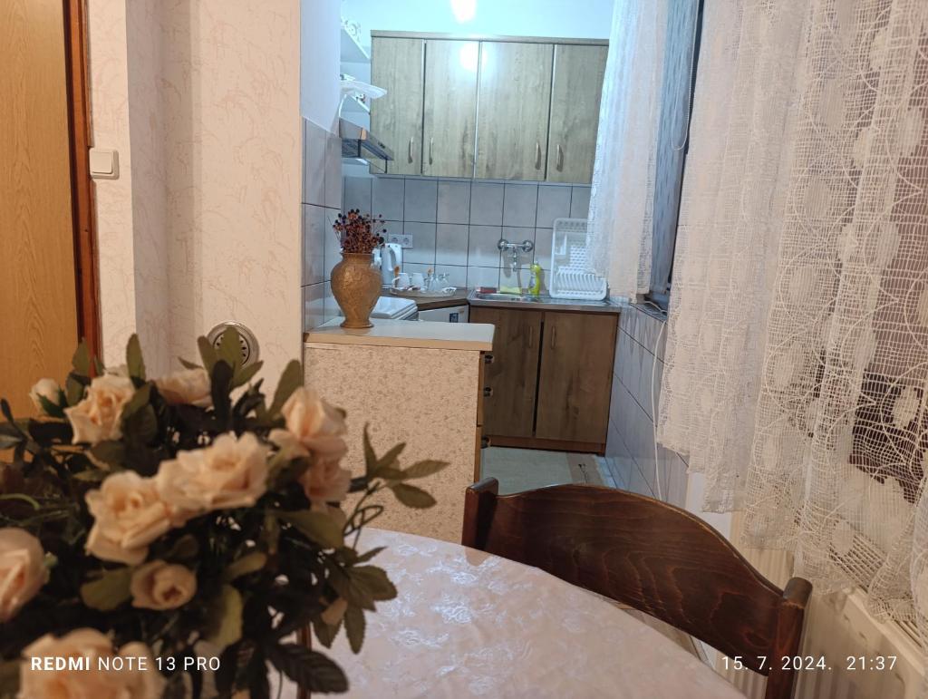 Apartment SAFIR - Free parking 8