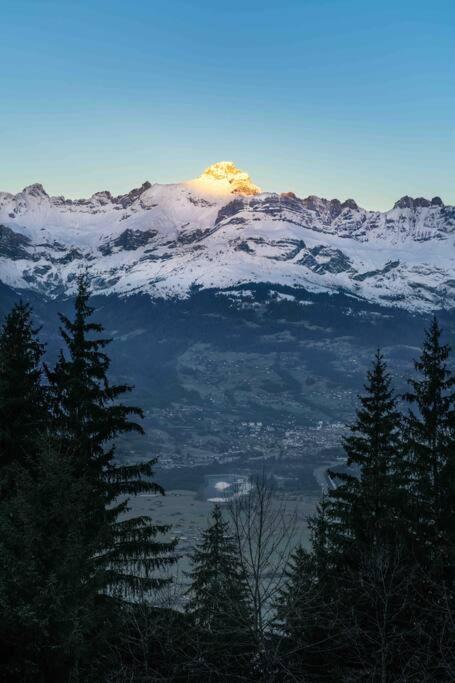 une montagne enneigée avec des arbres au premier plan dans l'établissement Mirror globe Kandasphere, à Saint-Gervais-les-Bains 37 autres photos