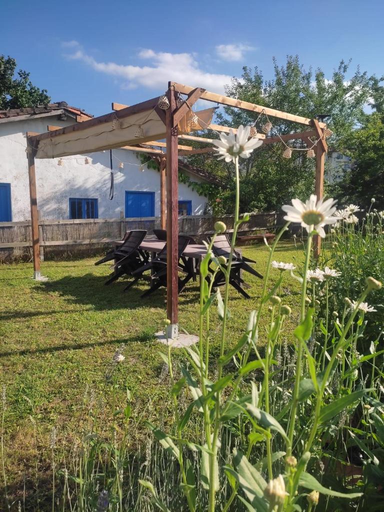 Zikoinaren Txokoa ( El Txoko de la cigüeña ) 6