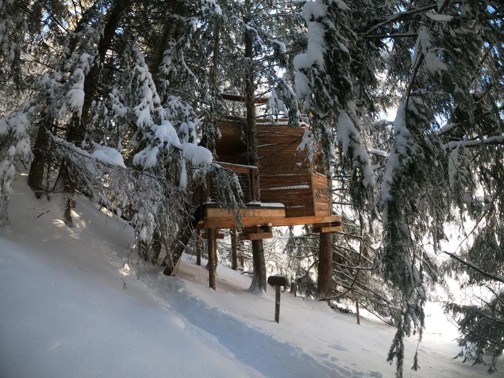 une cabane dans les arbres dans une forêt enneigée dans l'établissement Cabane dans les Arbres de Valmo'Insolite, à Valmorel
