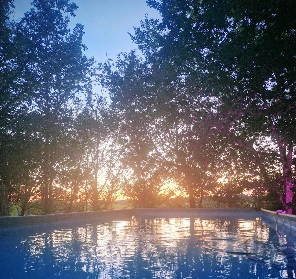 - une piscine bien exposée à travers les arbres dans l'établissement Camping d'Artagnan, à Margouët-Meymès