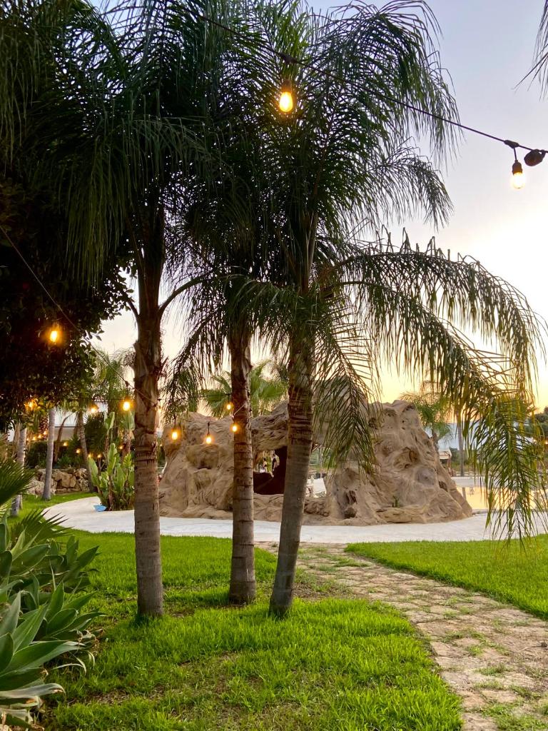 deux palmiers dans un parc avec un sentier dans l'établissement Holiday in Paradise, à Balestrate