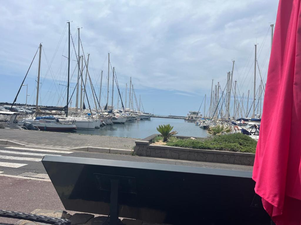 une vue d'une marina avec des bateaux dans l'eau dans l'établissement Voilier et plage, au Cap d'Agde 2 autres photos