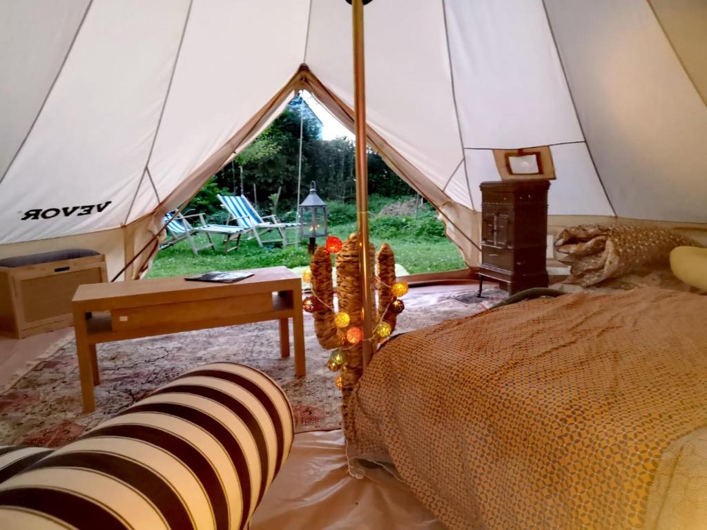 - un chat assis sur un lit dans une tente dans l'établissement Tente mongole 4 saisons cosy et spacieux, à Conchy-les-Pots