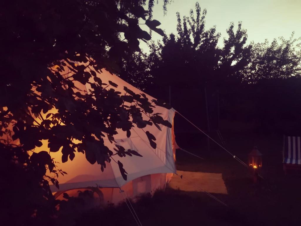 Un cerf-volant vole dans le ciel la nuit dans l'établissement Tente mongole 4 saisons cosy et spacieux, à Conchy-les-Pots 17 autres photos