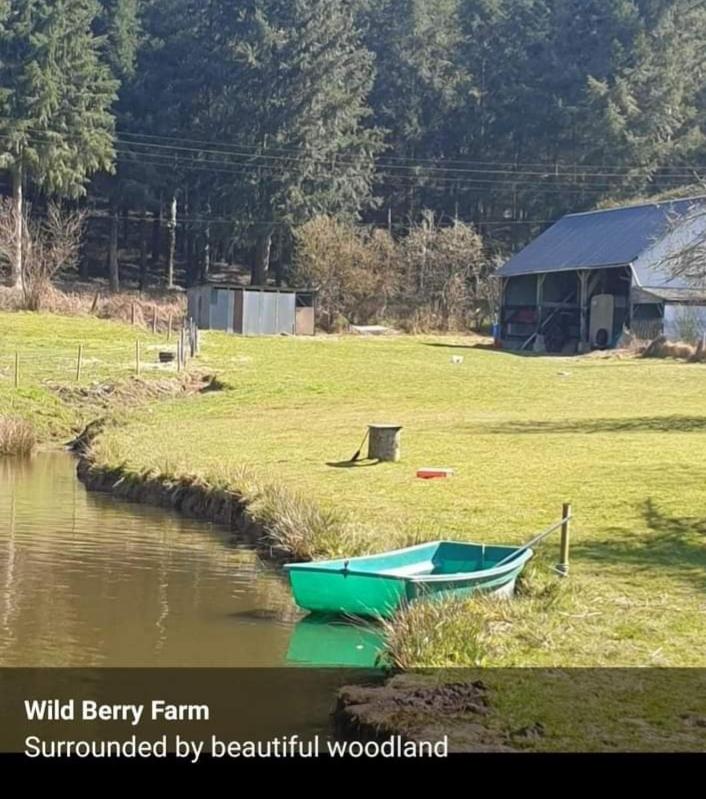 un bateau vert assis sur le bord d'une rivière dans l'établissement Wildberry cycling, à Lignieres-Orgeres