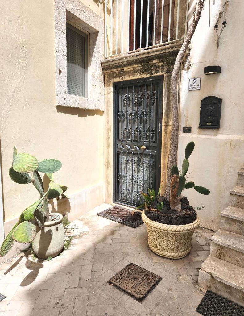 Il Cortile di Dioniso 6