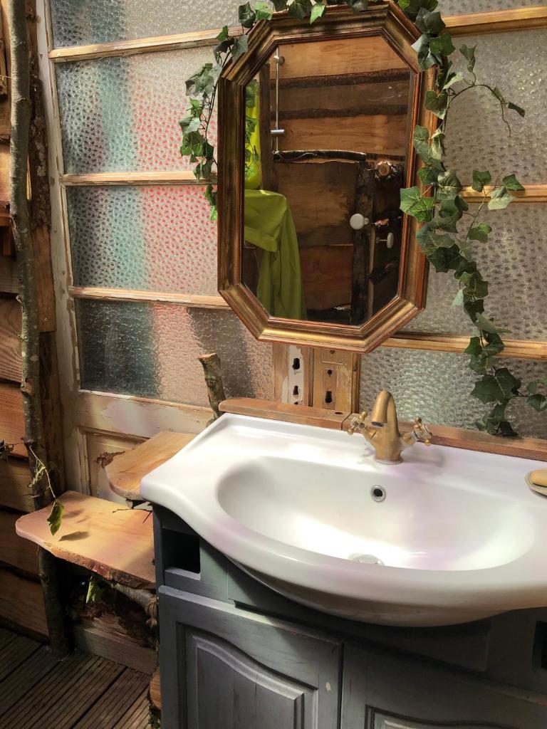 une salle de bain avec un lavabo et un miroir dans l'établissement Yourte dans la forêt, à Rennes-les-Bains