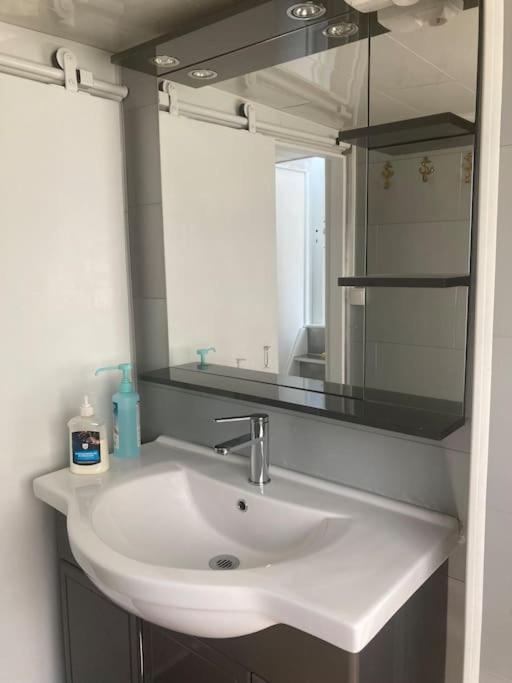 une salle de bain avec un lavabo blanc et un miroir dans l'établissement Une nuit, la vie avec Marie Lou, à Venette