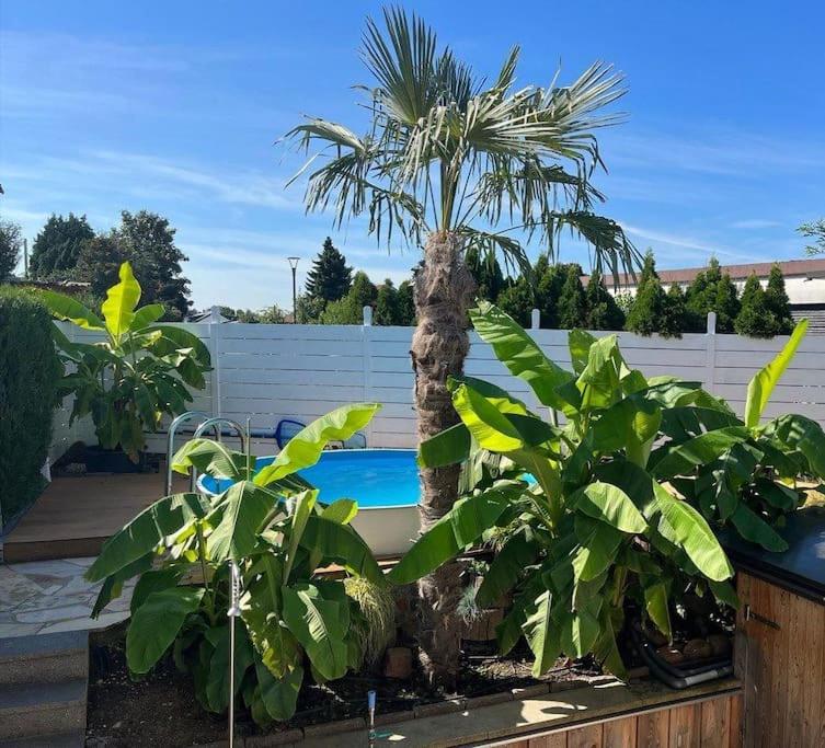 City Chillout Heidelberg Appartement with Sauna & Pool 2