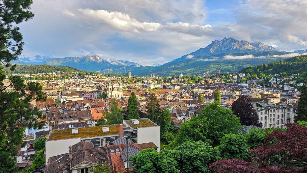 Premium Apartment mit Pilatus Sicht 6