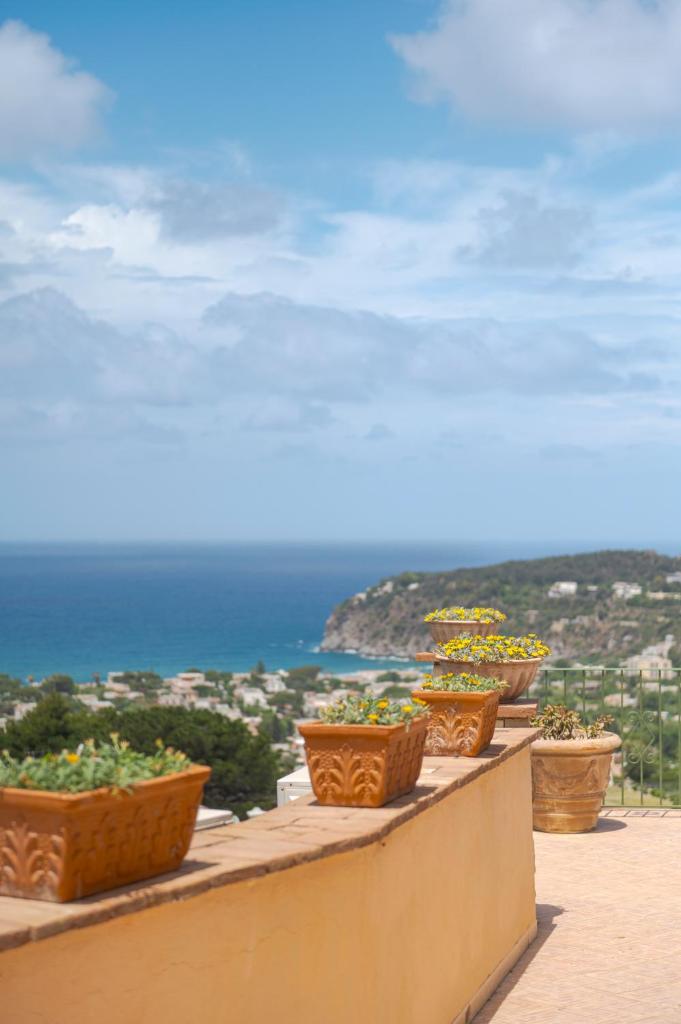 une rangée de plantes en pot assises sur un grand livre dans l'établissement Poggio Del Sole, à Ischia