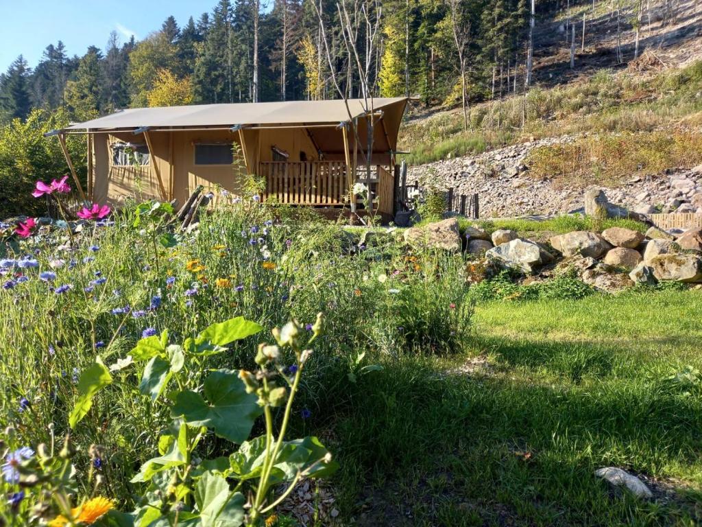 une cabane dans les bois avec un champ de fleurs dans l'établissement LA TENTE DU RANDONNEUR, à Rimbach-près-Masevaux
