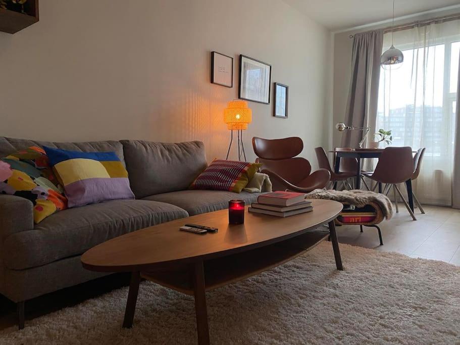 Cozy Apartment in Reykjavik 1