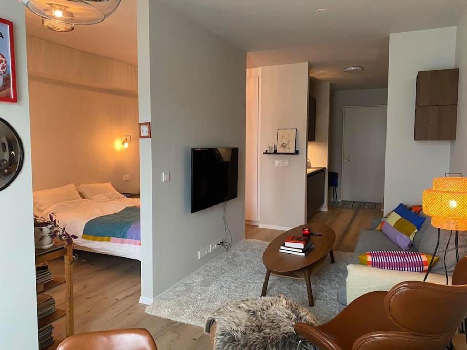 Cozy Apartment in Reykjavik 5