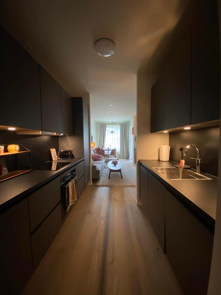 Cozy Apartment in Reykjavik 4