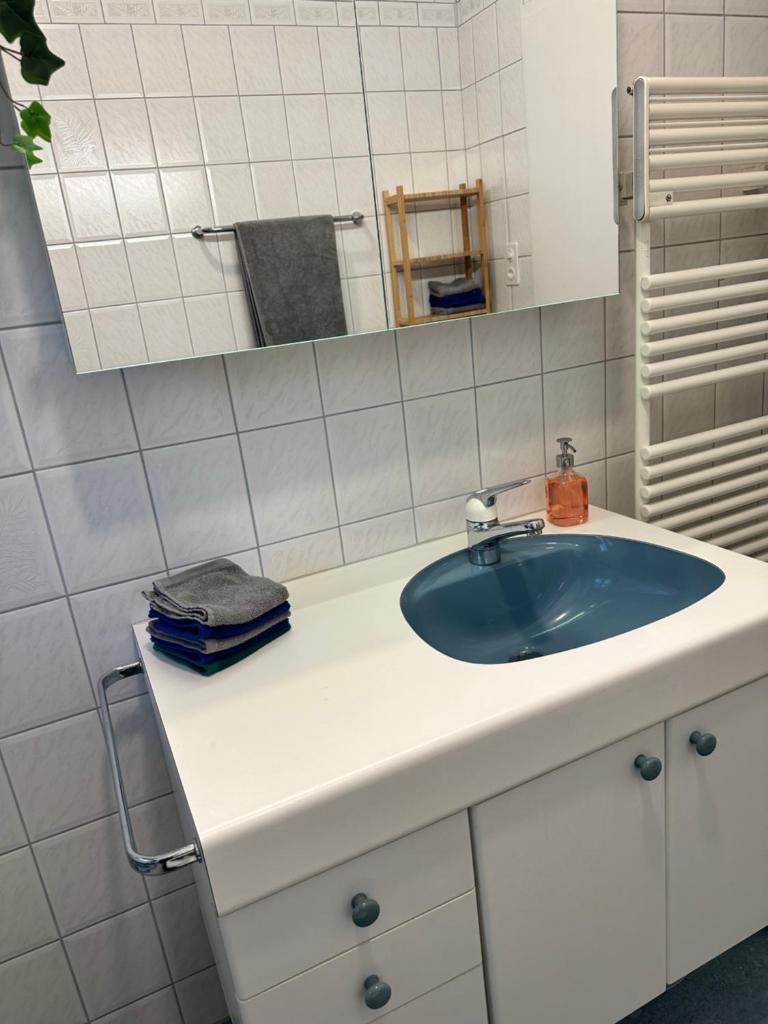 Bijoux Wohnung auf dem Basler Hügel 8