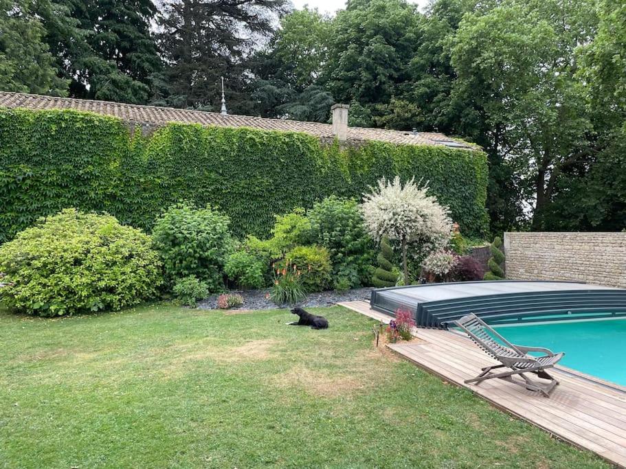 un chat noir assis dans l'herbe à côté d'une piscine dans l'établissement Gîte de la Villa André, à Coulonges-sur-lʼAutize